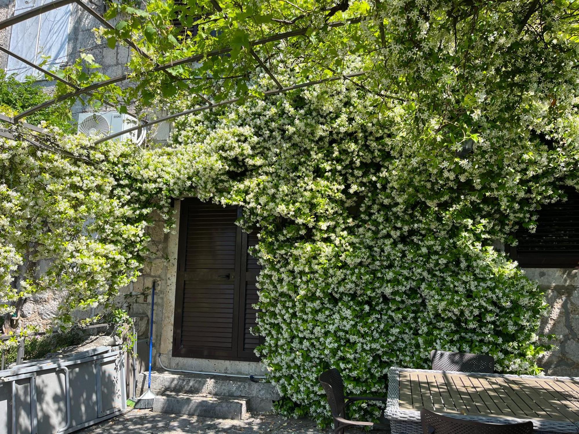 Apartamento Be Happy In Perast Exterior foto